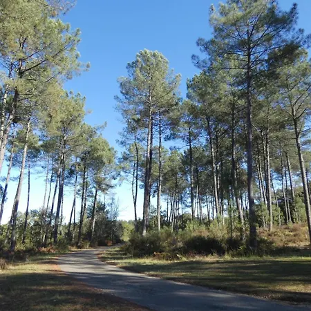 Les Ajoncs Holiday home *