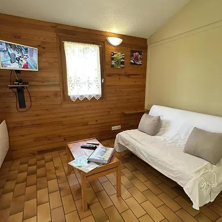 Les Ajoncs Holiday home *
